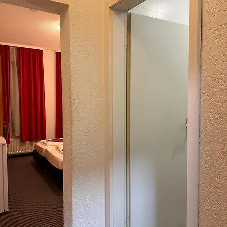 Szálloda Nassauer Hof Frankfurt - Naehe Jahrhunderthalle Suewag Energie Arena Frankfurt am Main