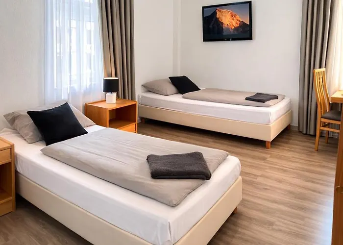 Nassauer Hof Frankfurt Zeilsheim 3* 美因河畔法兰克福