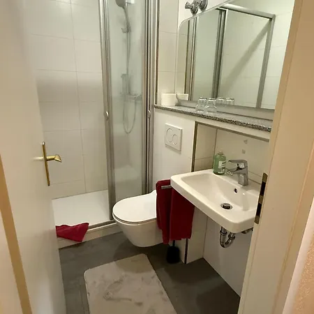 Отель Nassauer Hof Frankfurt Zeilsheim Франкфурт-на-Майне